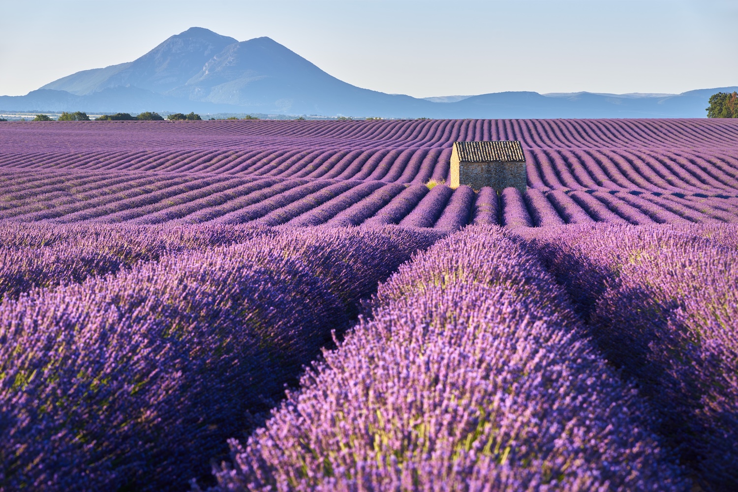 Provence